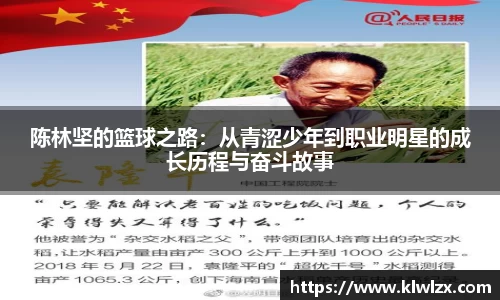 bb贝博bellbet官方网站
