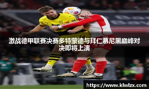 bellbet贝博艾佛森官方网站
